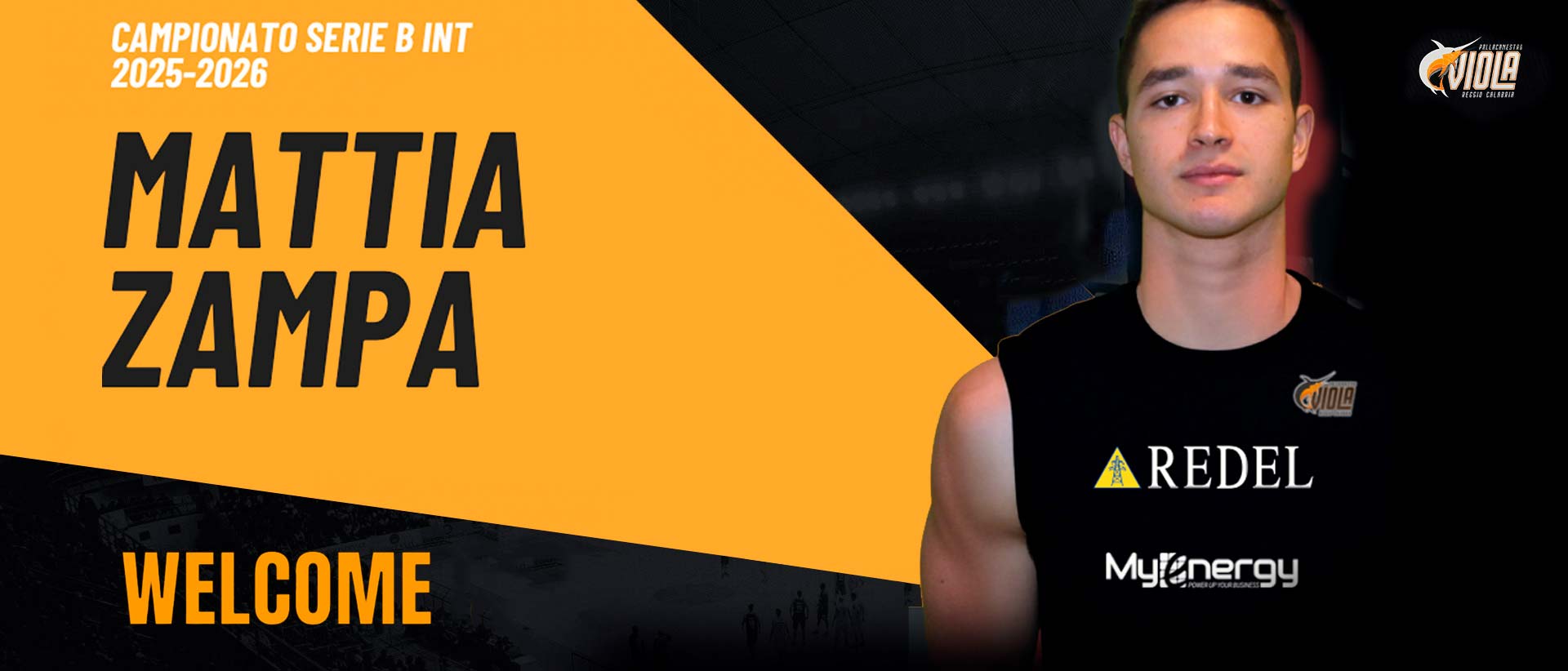 news zampa mattia news zampa mattia